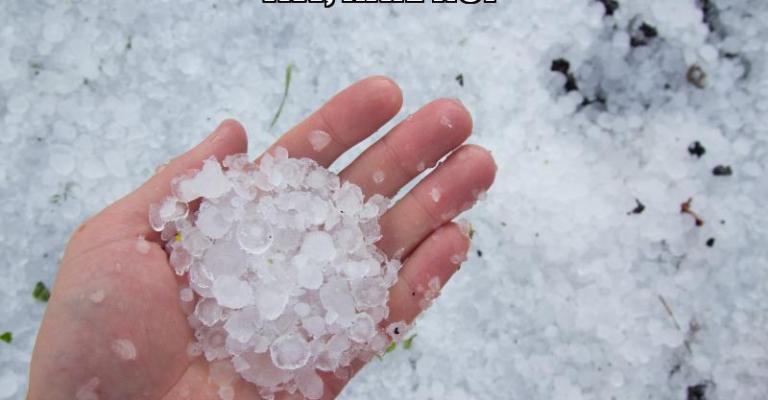 hail in hand
