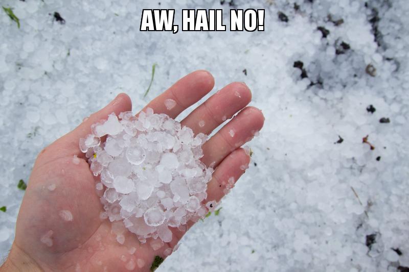 hail in hand