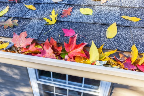 leaves in gutter