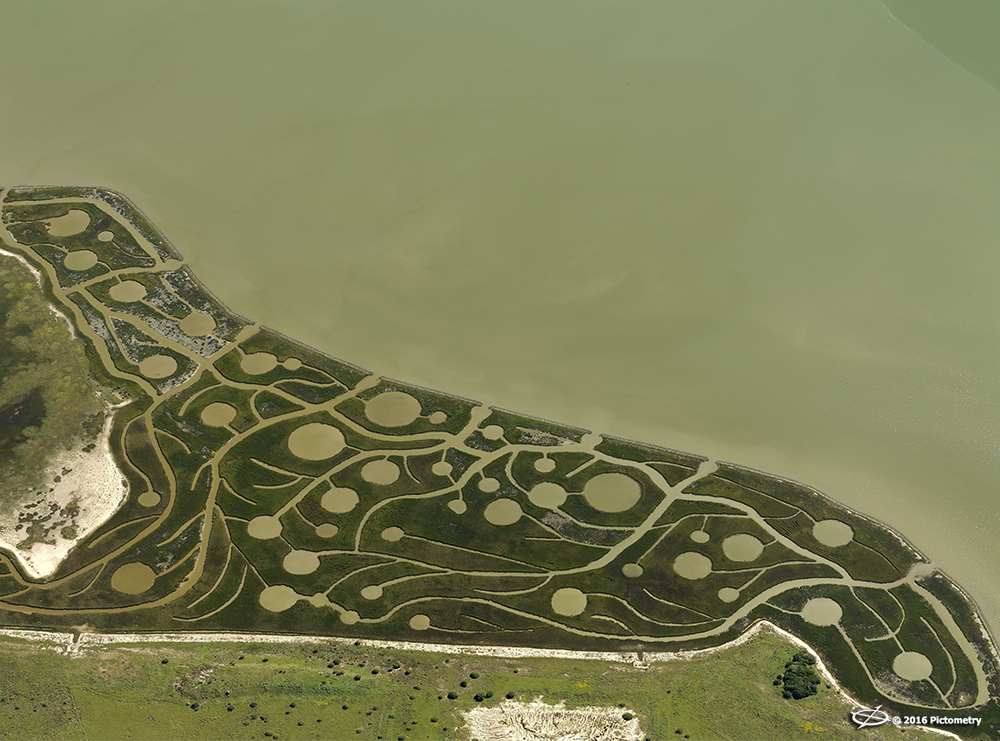 CirclePatternedTexasCoastlineTXZCAL