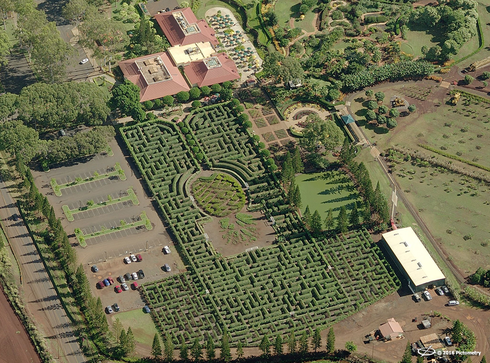 Hedge maze HIHONO