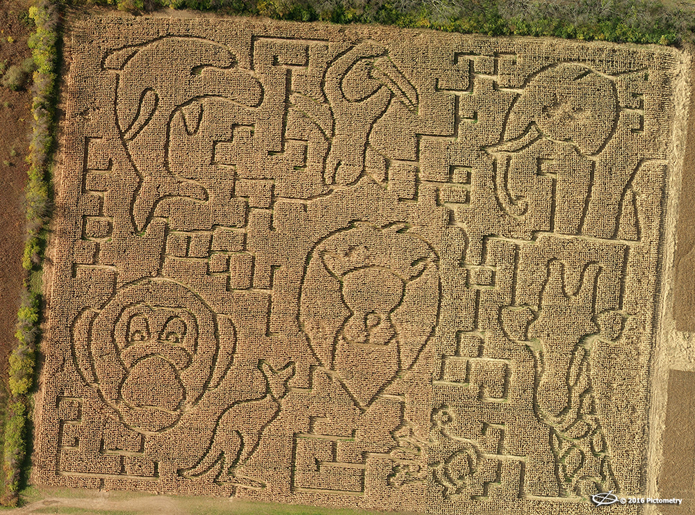Maze animals OHWARR