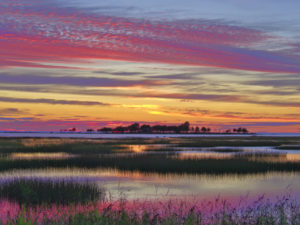 wetlands