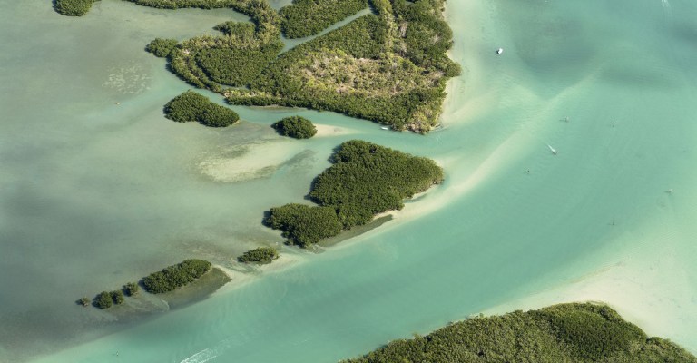 clear waters florida boat