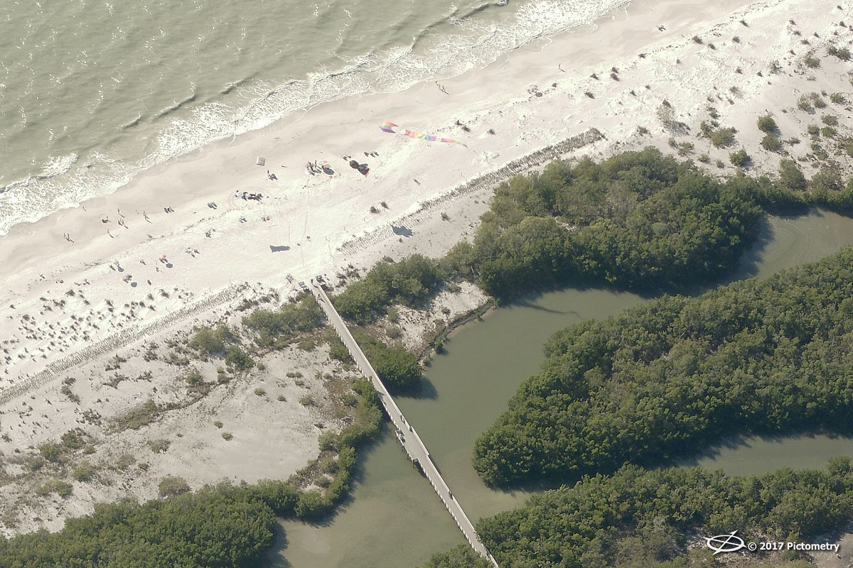 kite center top FLLEE035032NeighObliq5947W_170125