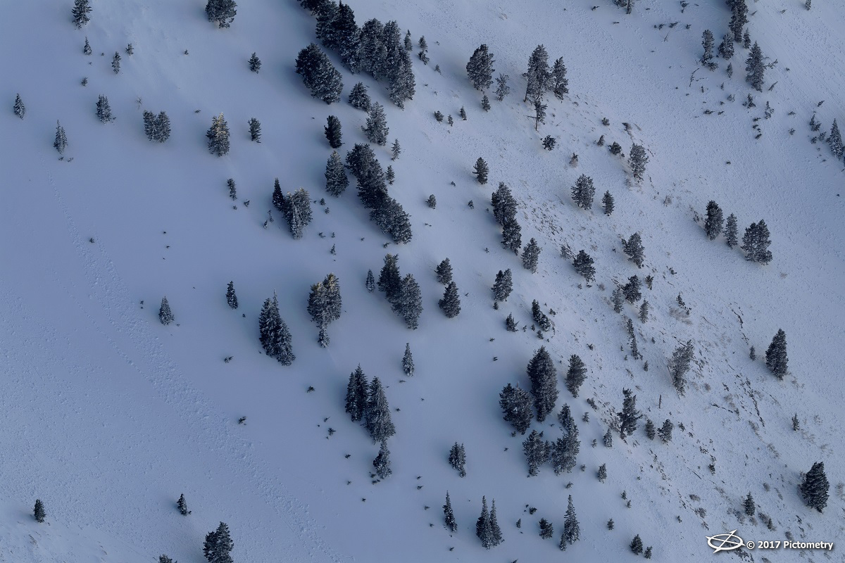 Frozen Pines Utah County UT Snowy Woods (near Provo)]