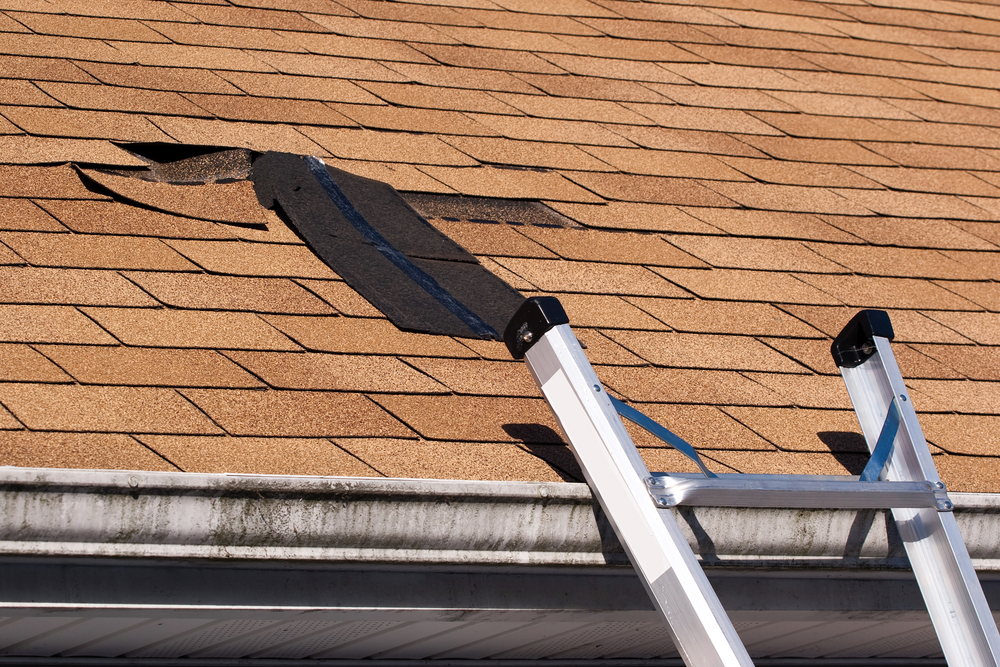 roof damage
