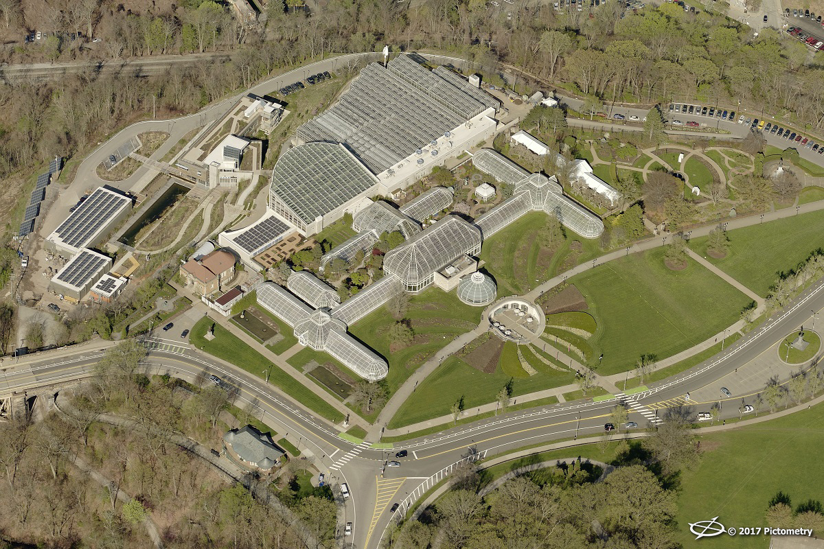 PHIPPS PA
