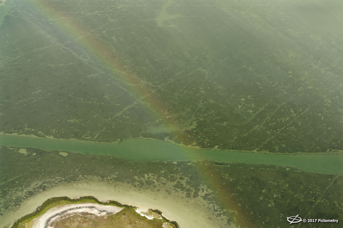 TXRainbow