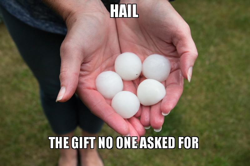 Don't you wish hail season was over already?