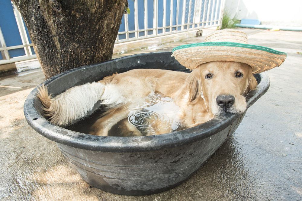 6 Summer Roofing Safety Tips to Beat the Heat | EagleView US