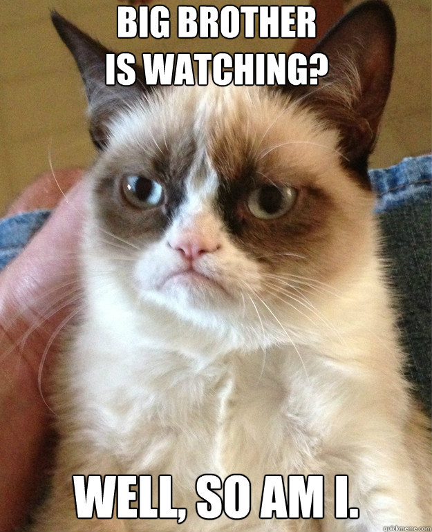 TV show