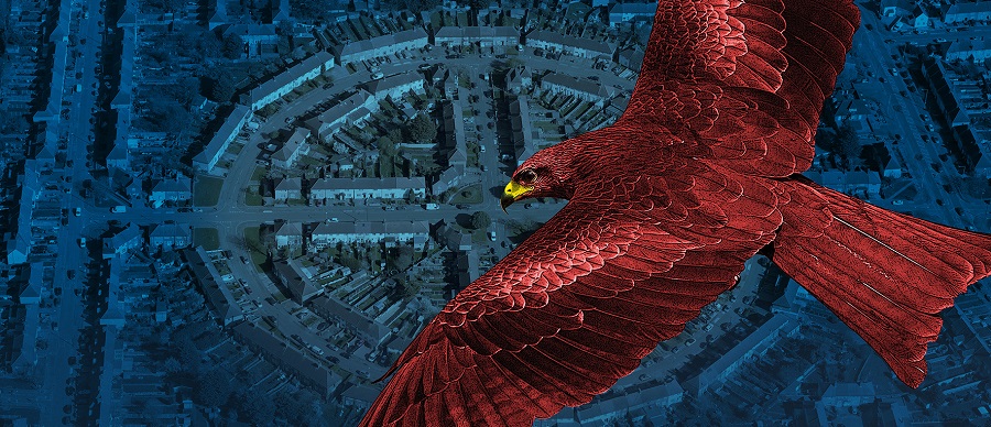 eagle over london