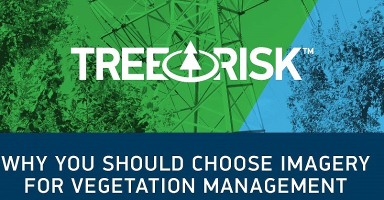 TreeRisk Infographic Featured