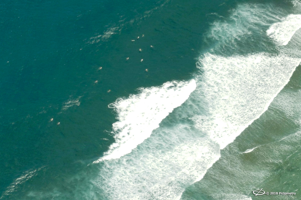 coast of Honolulu
