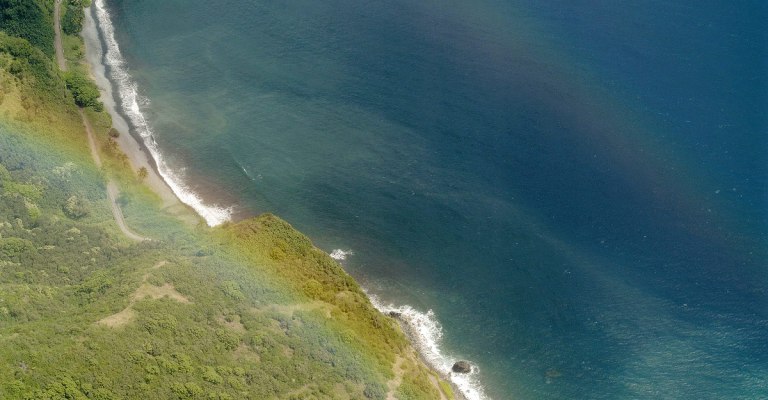 Maui rainbow