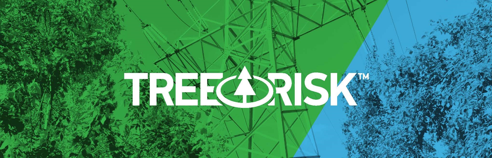 TreeRisk logo