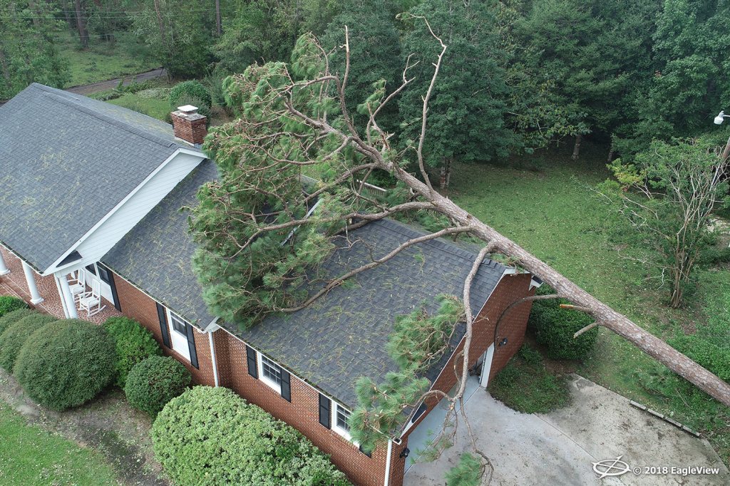 Hurricane Florence