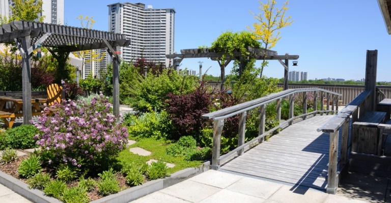 vegetative roof assembly rooftop garden sustainability green roofing