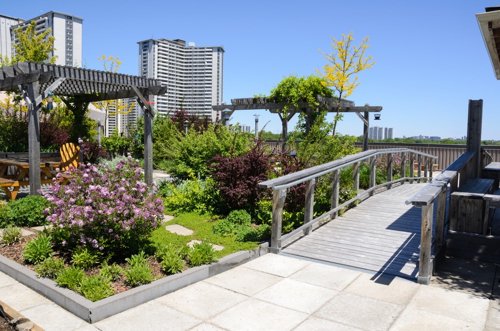 vegetative roof assembly rooftop garden sustainability green roofing