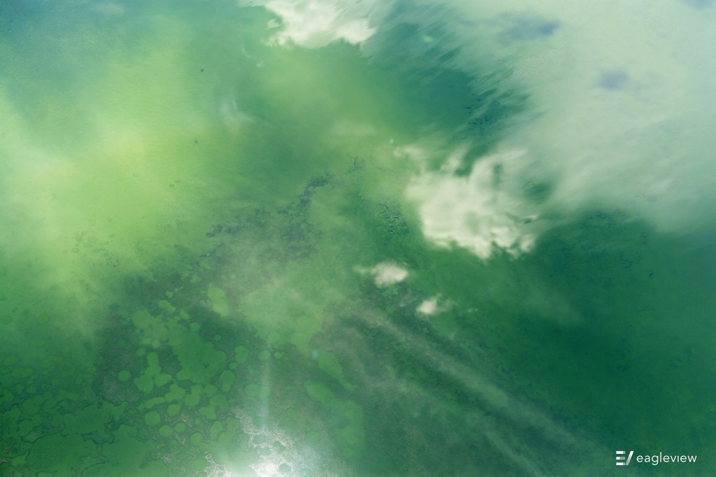 Green tinted water