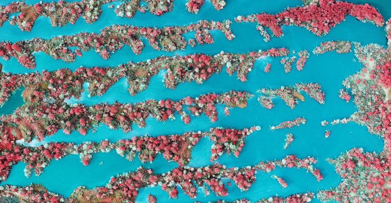 Flower above blue water