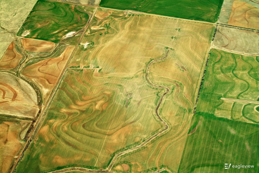 Wavy Farm Kansas
