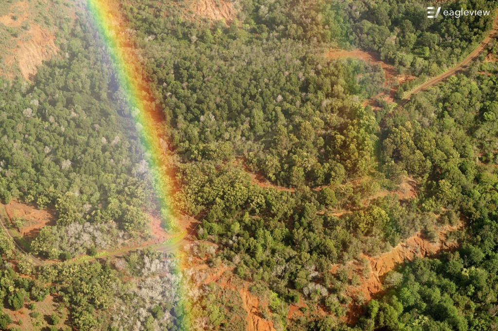 Rainbow