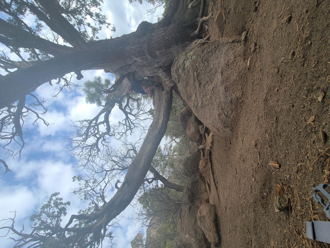 Hiking
