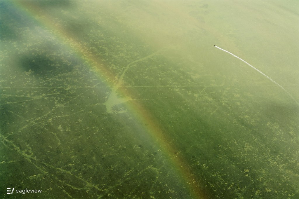 Rainbows