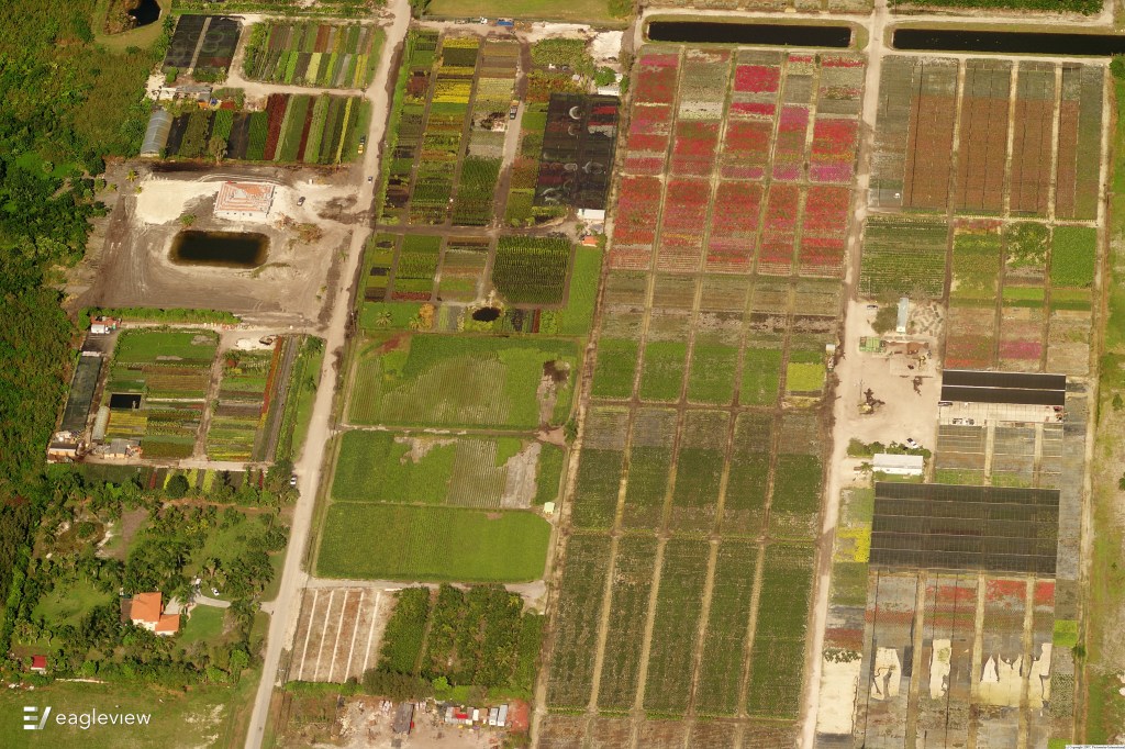 Beautiful plant nursery