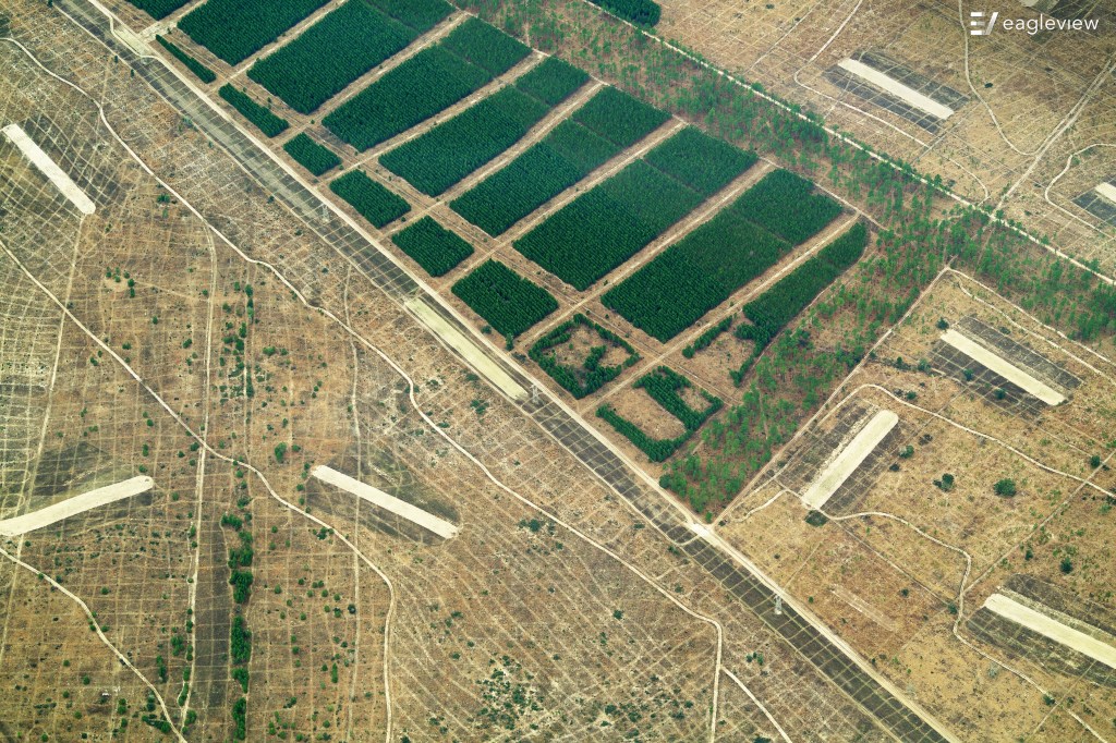 Field