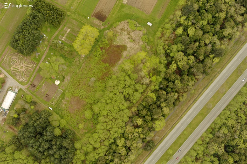 Road near field