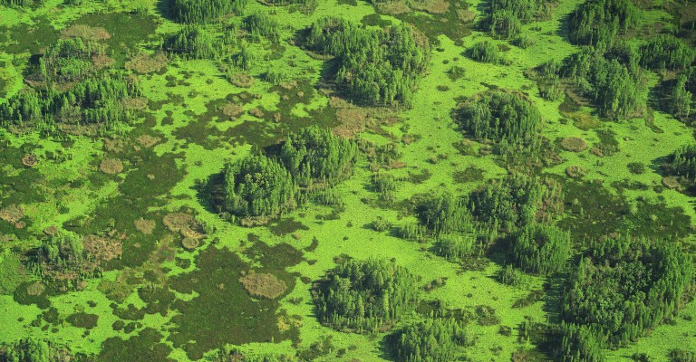Greenness