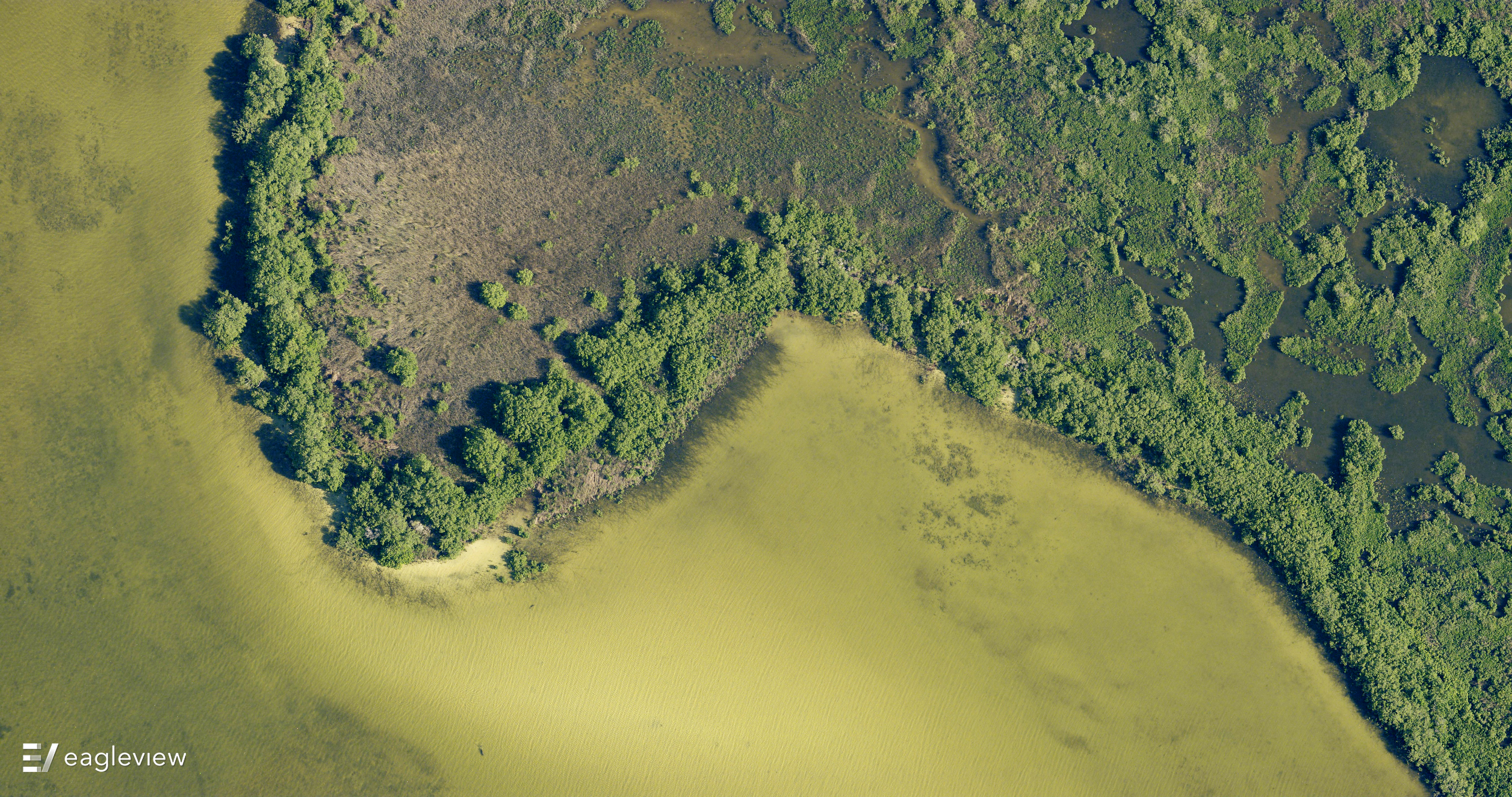 eagleview imagery