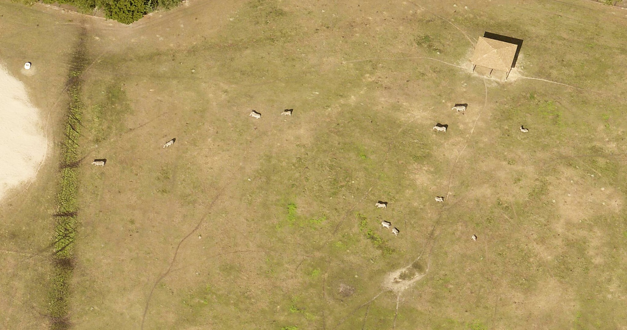 eagleview imagery
