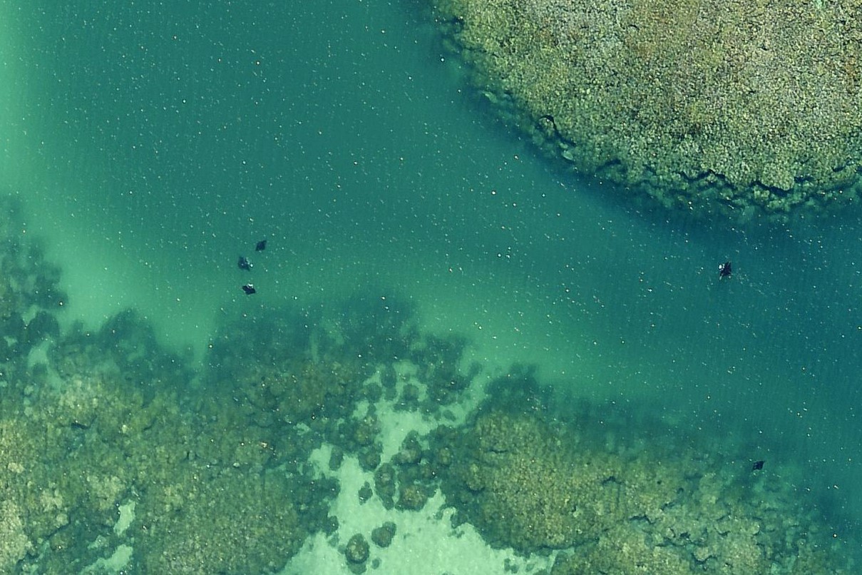 eagleview imagery