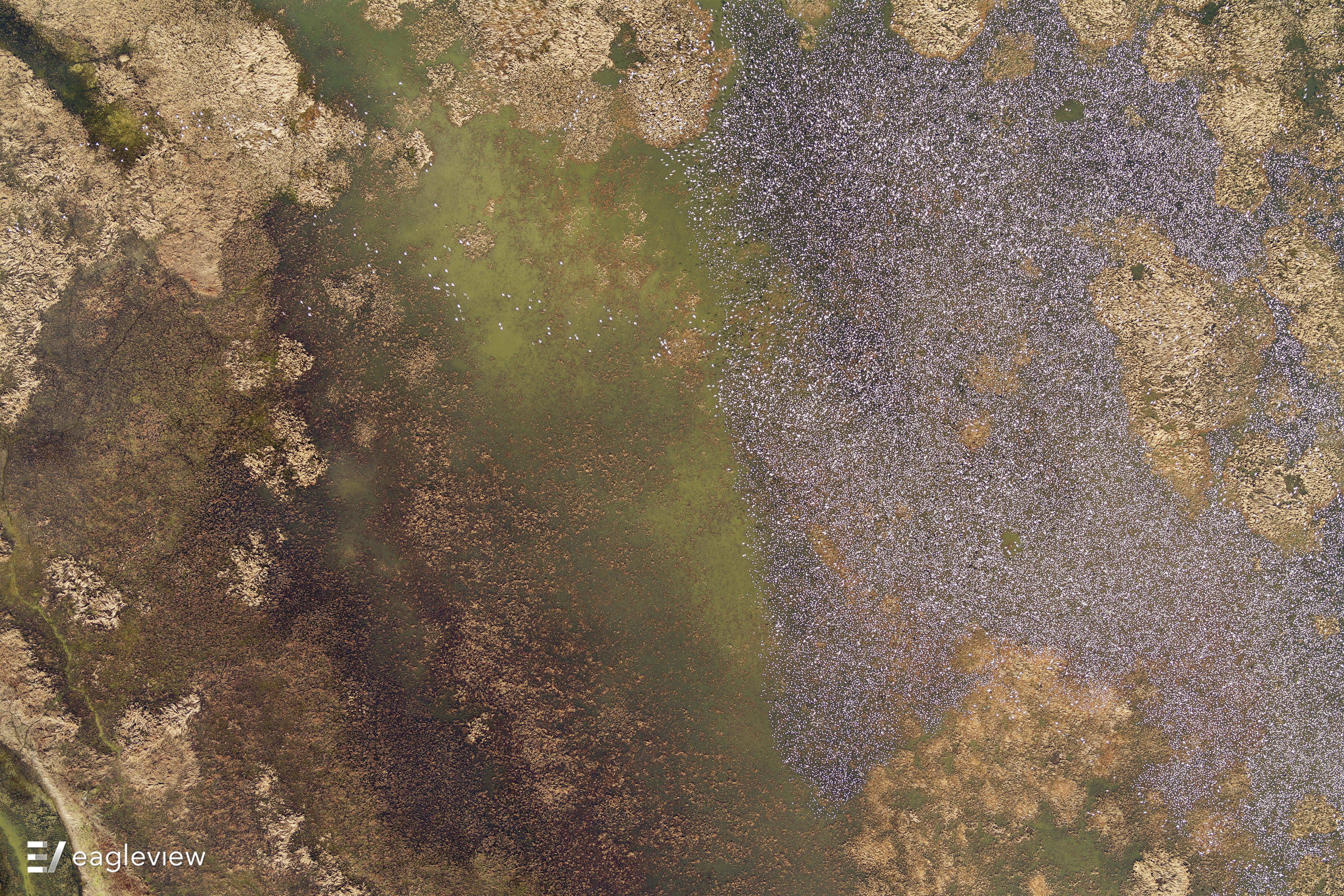 eagleview imagery