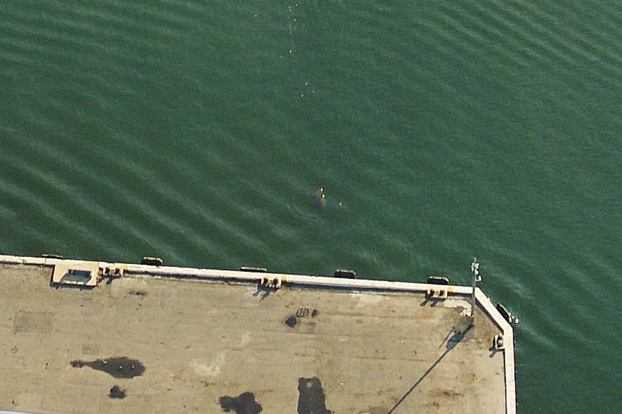 SeaCow HeadsUp NearDock
