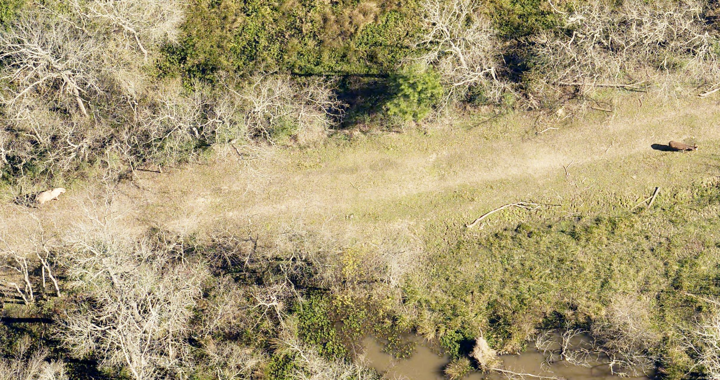 eagleview imagery
