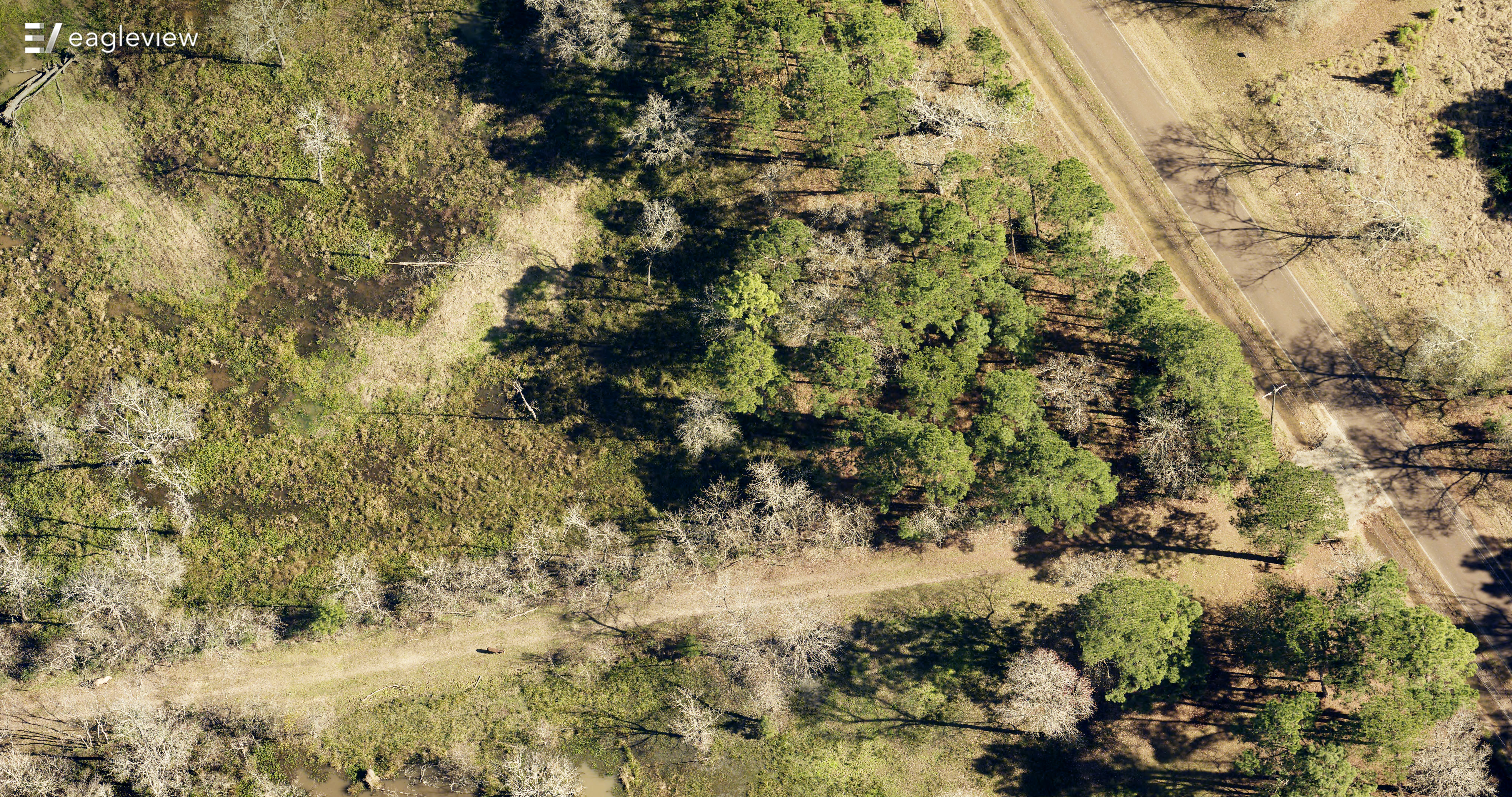 eagleview imagery