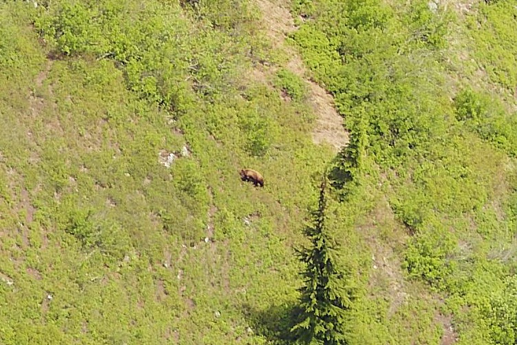 eagleview imagery