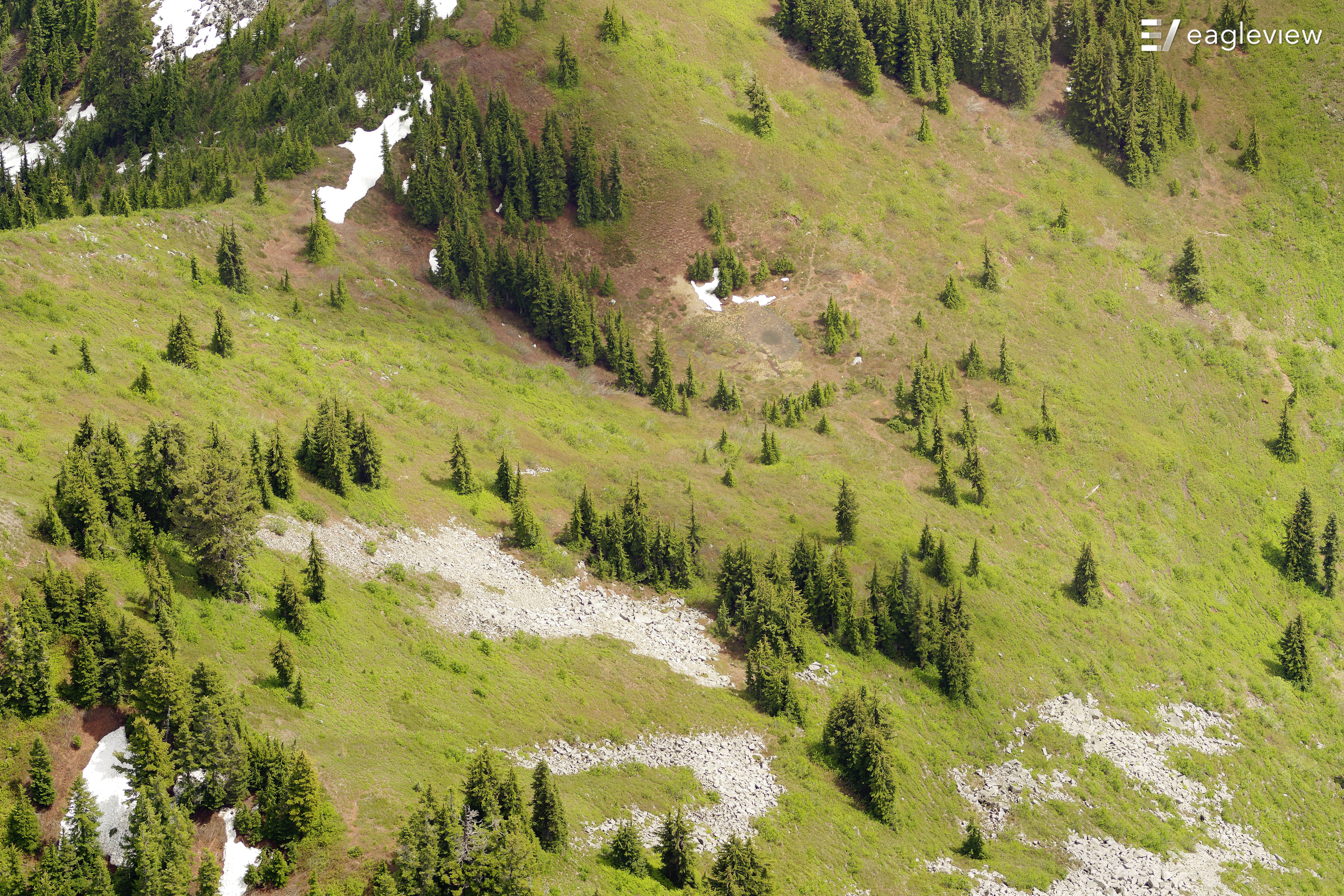 eagleview imagery