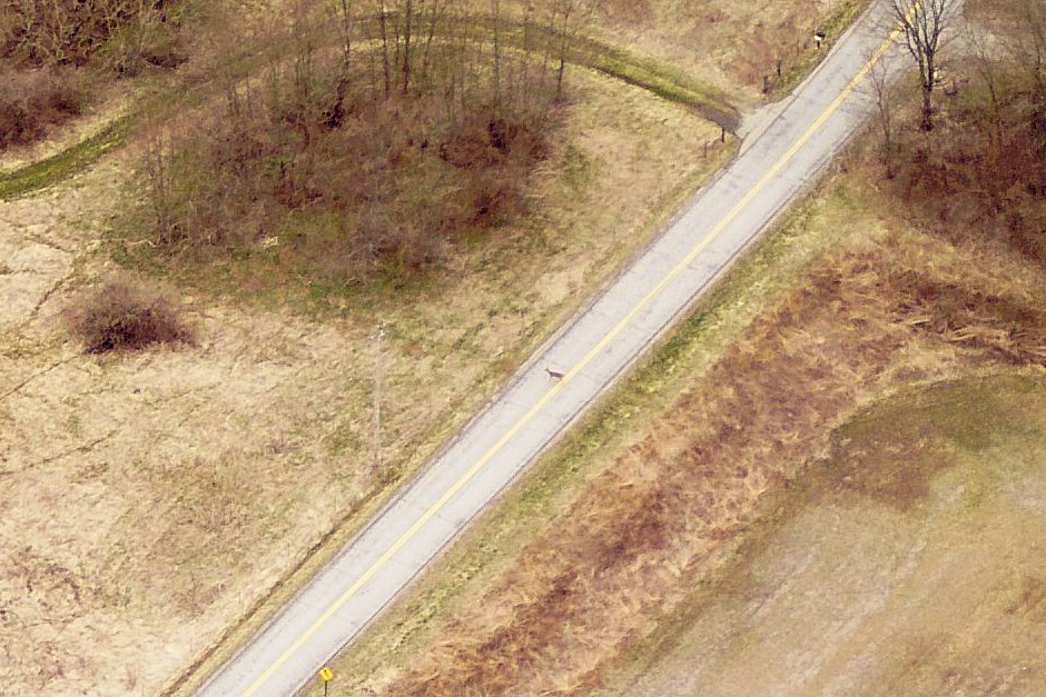 eagleview imagery