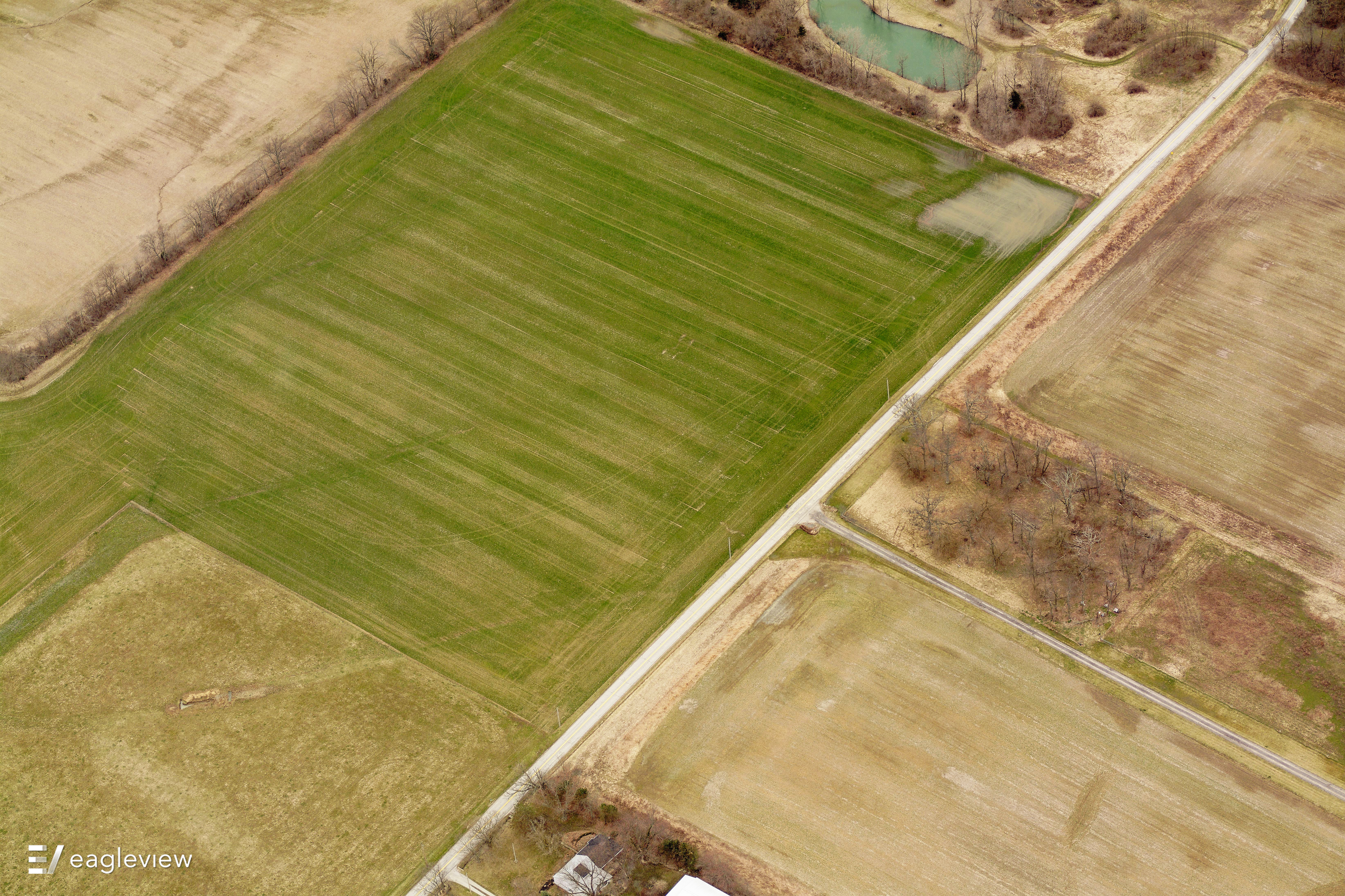 eagleview imagery