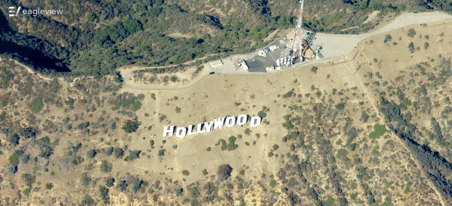 Hollywood Now