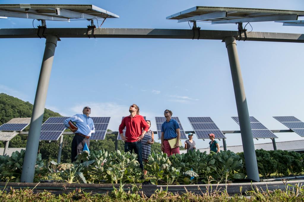 People looking at Solar Panel