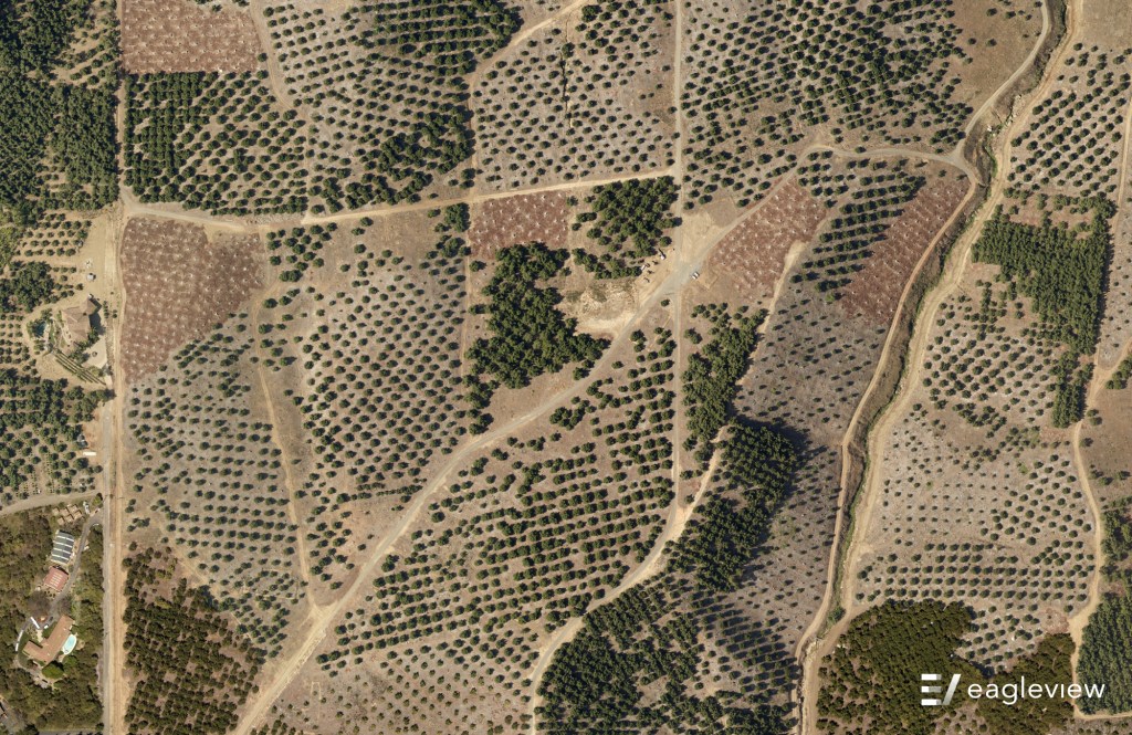 Roads cut through in angular patterns between patches that are dotted with trees. 