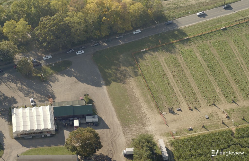 This aerial image of a New York farm shows a field full of pumpkins with a stall selling pumpkins next to it.