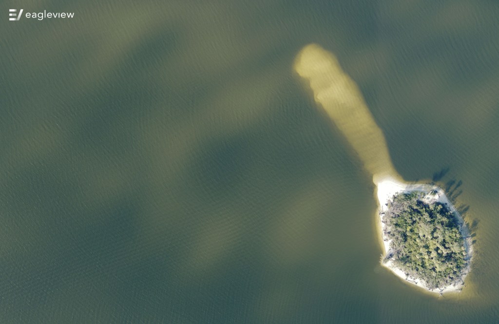 In the green-blue water off the Florida coast, a strip of land appears to be shaped like a spoon with the bowl full of trees.
